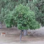 Semesterbostad Lahuerta *