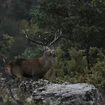 Semesterbostad Lahuerta *