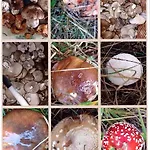 Lahuerta Semesterbostad