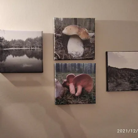 Lahuerta ブロンチャレス