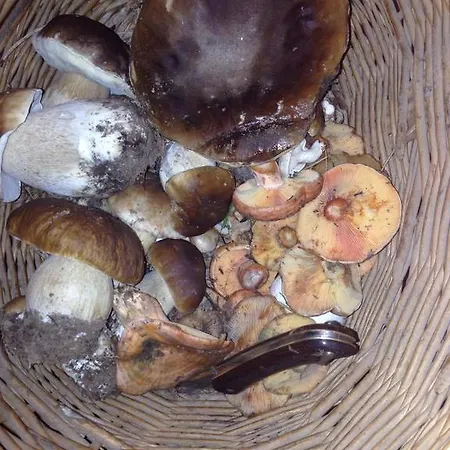 Lahuerta ブロンチャレス