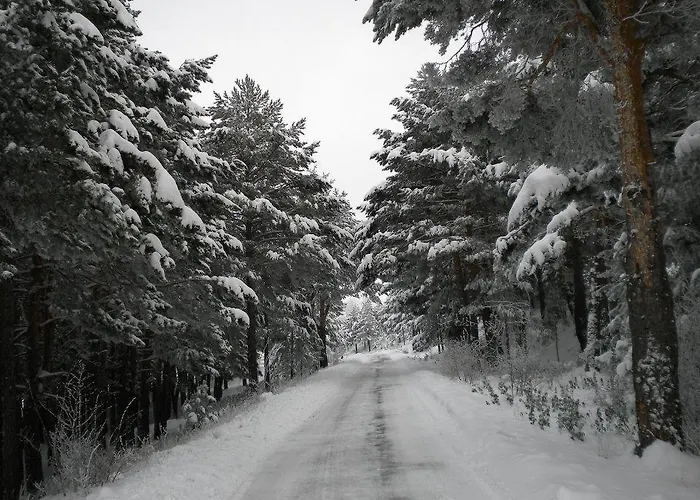 Lahuerta * Bronchales